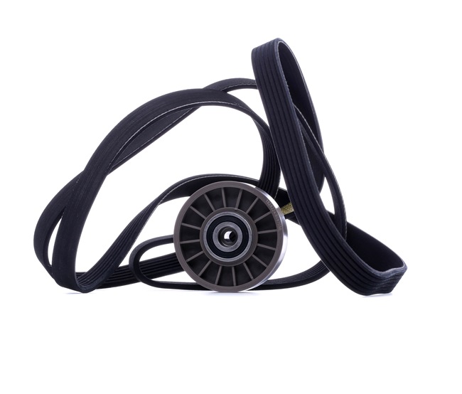 542R1041 RIDEX 0039938596 V-Ribbed Belt Set