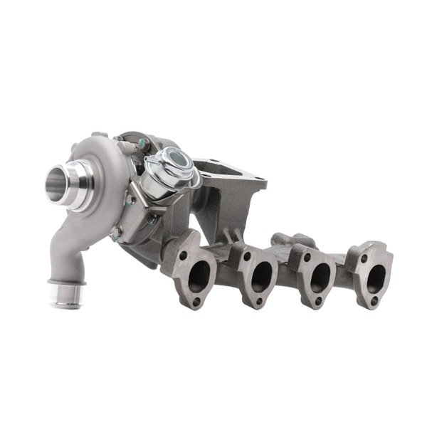 RIDEX | Turbolader med tetning 2234C10813 FORD Focus Mk1 Hatchback (DAW, DBW) 1998 billige på nett