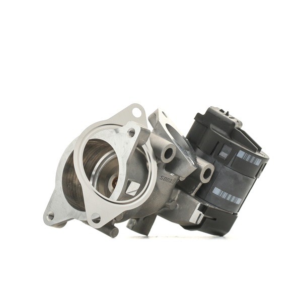 DELPHI EGR EG10396-12B1 Volvo 147,31 CHF online einkaufen
