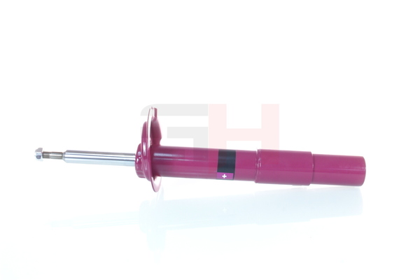 Numéro OEM 31 31 6 769 937 - Amortisseur GH+351560 BMW