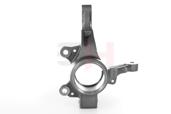 GH GH-293993V steering knuckle RENAULT Clio III Hatchback (BR0/1, CR0/1) 1.2 16V (BR0R, BR1D, BR1L, CR0R) 65hp 2005