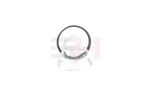 Anillo sensor, ABS GH-493763 GH PEUGEOT 508 I Sedán (8D) 1.6 THP 2015 150 cv