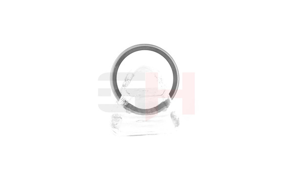 Anillo sensor, ABS GH-493910 GH RENAULT Grand Scénic II (JM) 1.9 dCi 2008 110 cv