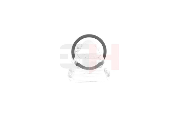 Anillo sensor, ABS GH-493985 GH RENAULT Modus / Grand Modus (F, JP) 1.2 2013 75 cv