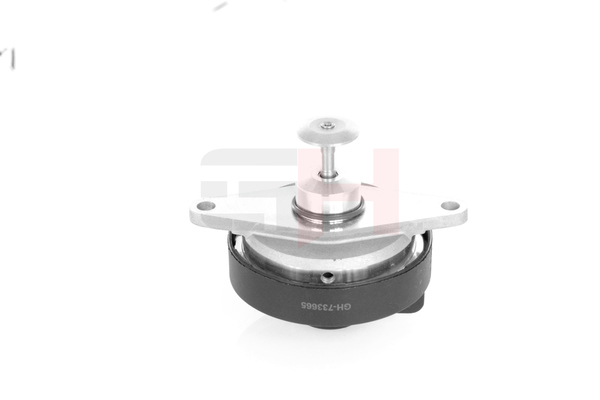 GH GH-733665 egr valve OPEL Omega B Saloon (V94) 2.0 DTI 16V (F69, M69, P69) 101hp 1999