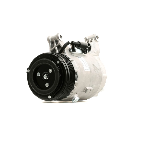 TSP0155308 DELPHI AC pump PAG 46, with PAG compressor oil