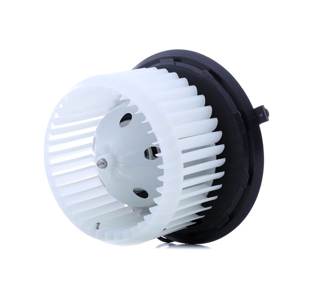DELPHI Ventola riscaldamento TSP0545017 61,36 € acquisto online