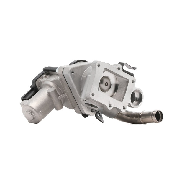 JPN 75E0308-JPN AGR Ventil kaufen