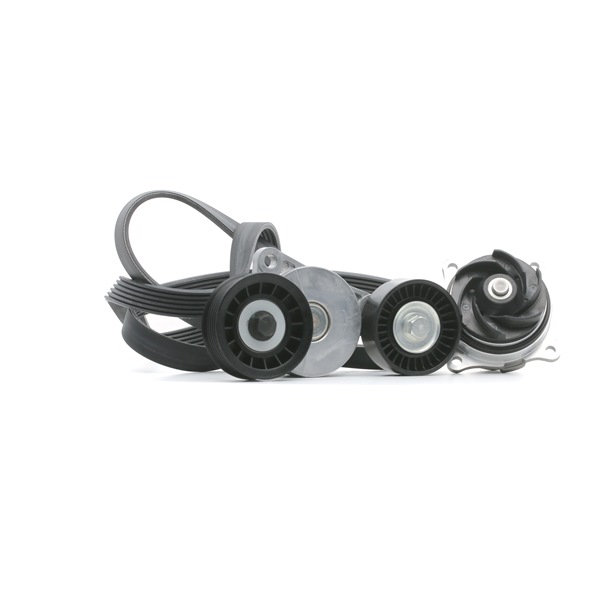 order RIDEX (4172P0088) Water Pump + V-Ribbed Belt Kit