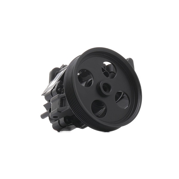 Número OEM 003 466 41 01 - Bomba de dirección 12H0046R MERCEDES-BENZ