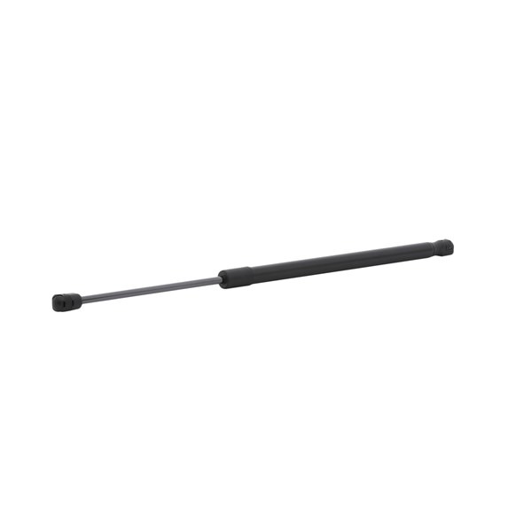 RIDEX 219G1089 Boot struts CITROËN C4 II (B7) 1.6 BlueHDi 99 hp Diesel 2018