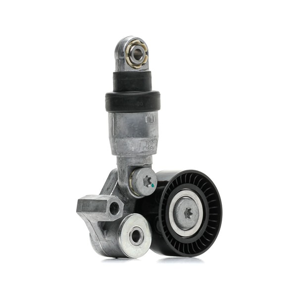 Riemenspanner 310T0622 RIDEX MAZDA CX-30 (DM) 2.5 SKYACTIV-G 2019 194 PS