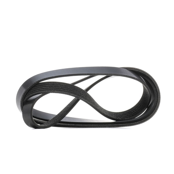 Numéro OEM 06C 903 137 D - Courroie Poly-V 305P0629 AUDI, FORD, OPEL, TOYOTA, SEAT
