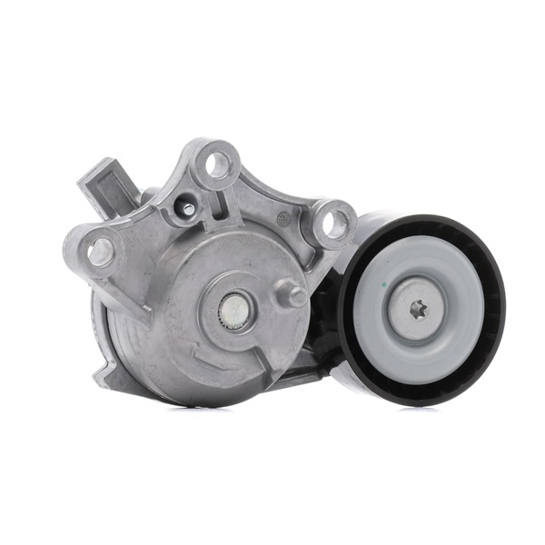 Rolo tensor, correia trapezoidal estriada 310T0653 RIDEX CITROËN C3 III (SX) 1.6 BlueHDi 2016 99 cv