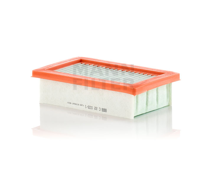 MANN-FILTER | Luftfilter Filterindsats C 22 033/1 SMART #1 SUV (HX11) 2022 billig online