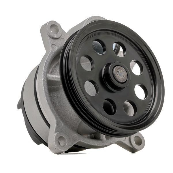 DOLZ F252 pompe à eau FORD Transit Custom V362 Minibus (F3) 2.0 EcoBlue 185CV 2021