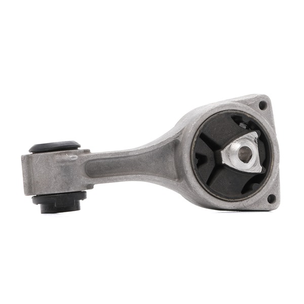 Supporto motore D800023 DENCKERMANN RENAULT Espace IV (JK) 2.0 dCi (JK03, JK04, JK1C, JK1G, JK1J, JK1K) 2015 173 CV