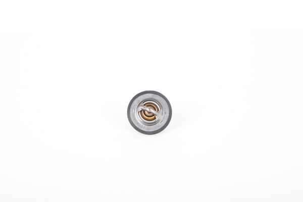 Continental 28.0200-4010.2 thermostat RENAULT Scénic I (JA0/1, FA0) 1.6 (JA00) 110CV 2002