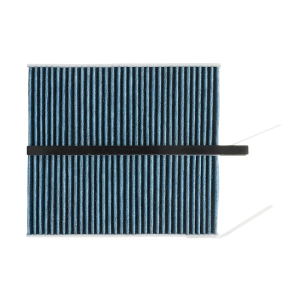 RIDEX PLUS 424I0629P cabin filter RENAULT Master III Van 2.3 dCi 130 FWD (FV0M, FV0Y, FV0J, FV02, FV03) 130hp 2020