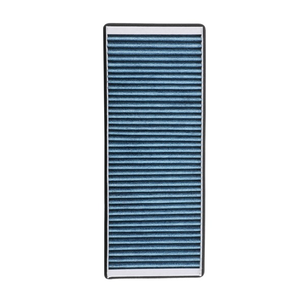Kupéfilter 424I0525P RIDEX PLUS VW Passat B5 Variant (3B5) 2.8 V6 4motion 2000 190 hk