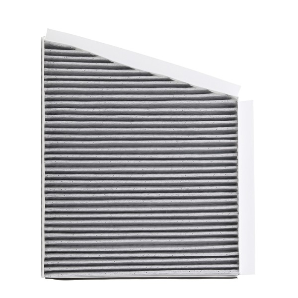 424I0512P RIDEX PLUS 2118300218 Pollen filter