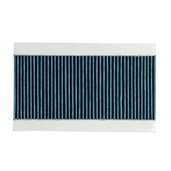 424I0548P RIDEX PLUS 1062253 Pollen filter