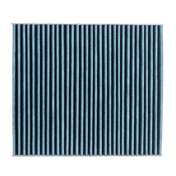 Kupefilter 424I0641P RIDEX PLUS SKODA Scala Hatchback 1.6 SRE 2024 110 hk