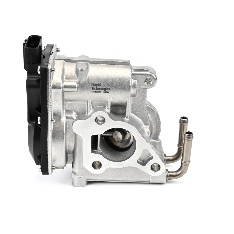 DELPHI EG10610-12B1 EGR valve Volkswagen CADDY 4 Kasten (SAA, SAH) 2.0 TDI 75 hp Diesel 2020