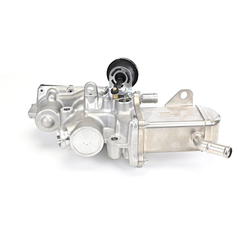 DELPHI EG10652-12B1 egr valve RENAULT Scénic III (JZ0/1_) 1.9 dCi (JZ0J, JZ1J, JZ1K, JZ1S) 131hp 2012