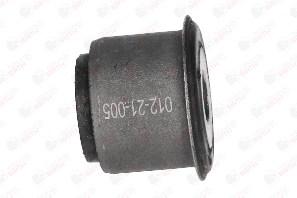 Suspensão, corpo do eixo 20139 BIRTH OPEL Astra G CC (T98) 2.0 16V (F08, F48) 2002 136 cv