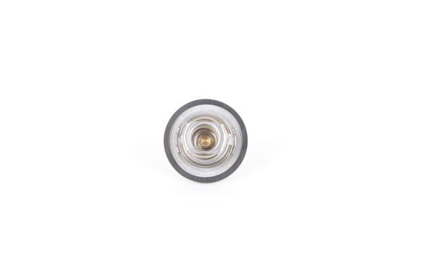 Termostat, kølemiddel 28.0200-4101.2 Continental RENAULT Scénic I (JA0/1, FA0) 1.4 16V 2000 95 HK