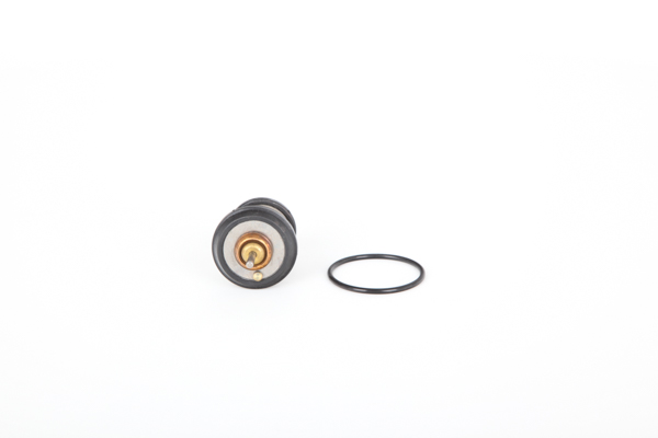 Termostat, kølemiddel 28.0200-4111.2 Continental VW Passat B6 Variant (3C5) 1.8 TSI 2009 152 HK