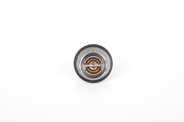 Número OEM 1 306 001 - Termostato, refrigerante 28.0200-4116.2 FORD, HYUNDAI, DODGE