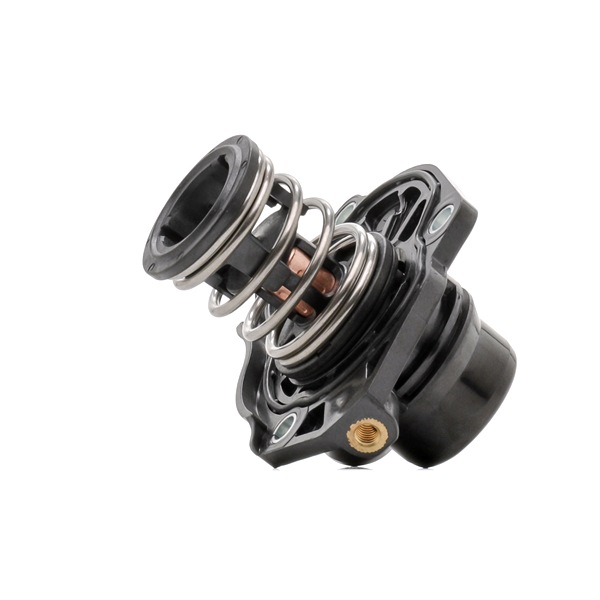 Termóstato, líquido de refrigeração 316T0564 RIDEX BMW 5 Sedan (F10) 520 d 2010 200 cv