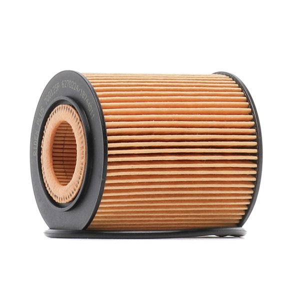 Filter für Öl 7O0125P RIDEX PLUS FIAT Idea (350) 1.6 Flex 2012 117 PS
