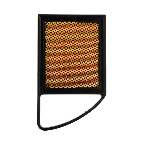 RIDEX PLUS 8A0172P Peugeot 207 cc air filter replacement cost