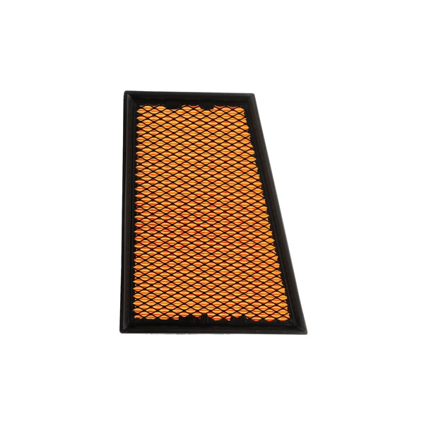 RIDEX PLUS | Motorluftfilter Filterinsats 8A0251P RENAULT Grand Scénic III (JZ) 2012 billiga online