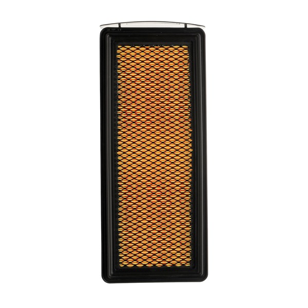 Motorluftfilter 8A0615P RIDEX PLUS BMW 7 (F01, F02, F03, F04) 730d xDrive 2012 258 PS