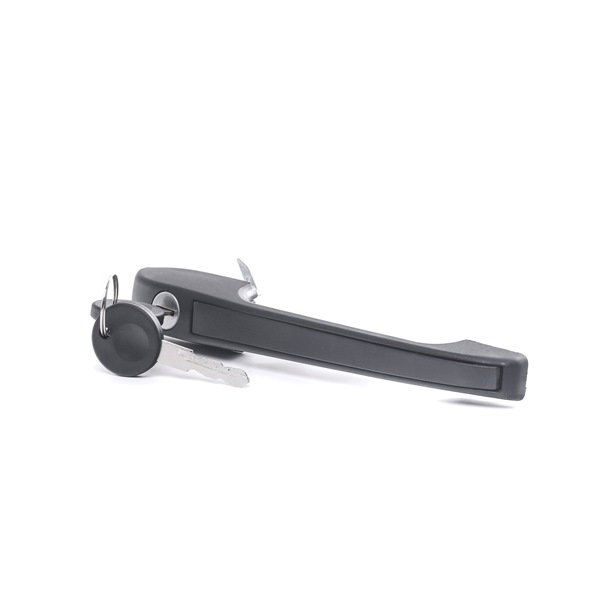 Türgriffe 15432 FEBI BILSTEIN VW Derby II (86C, 80) 1.3 1984 55 PS