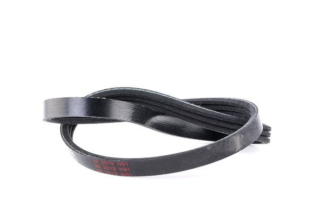 Correia trapezoidal estriada 28741 FEBI BILSTEIN FIAT Marea Sedan (185) 1.6 SX 2002 98 cv