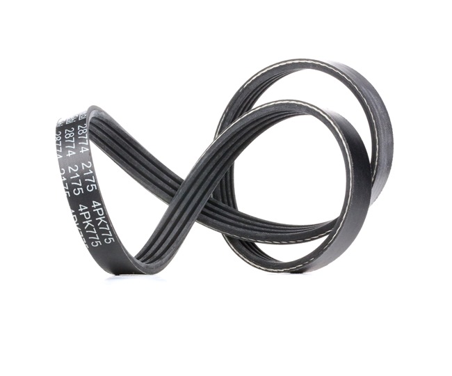 Número OEM MD 301 833 - Correia trapezoidal estriada 28774 RENAULT, BMW, OPEL, FIAT, TOYOTA