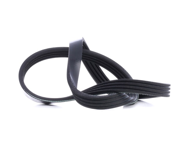 FEBI BILSTEIN | Correia de acessórios 28775 SUZUKI Dzire III 2024 baratos online