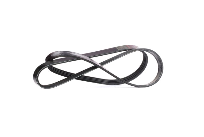 Numéro OEM 90916-02556 - Courroie Poly-V 28810 TOYOTA, SUBARU, LEXUS, GREAT WALL, WIESMANN