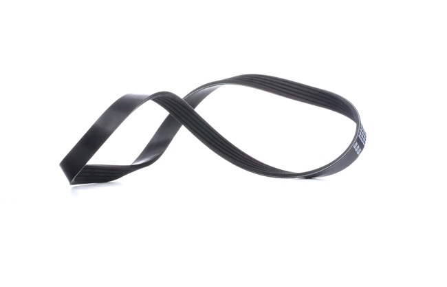 Correia trapezoidal estriada 28824 FEBI BILSTEIN BMW 5 Touring (E39) 530d 3.0 1998 184 cv