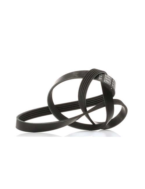 Número OEM 93 181 316 - Correia trapezoidal estriada 28863 OPEL, CHEVROLET, VAUXHALL, HOLDEN