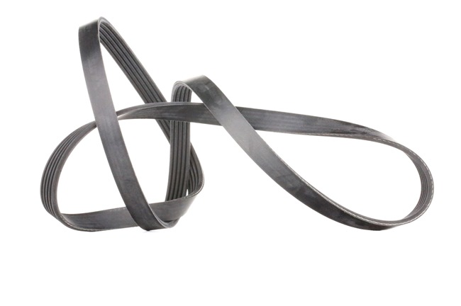 FEBI BILSTEIN 28881 serpentine belt OPEL Astra H Hatchback (A04) 1.6 (L48) 105hp 2007