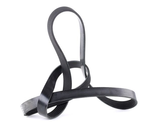Número OEM 51758124 - Correia trapezoidal estriada 28941 CITROËN, FIAT, ALFA ROMEO, SUZUKI, CHEVROLET