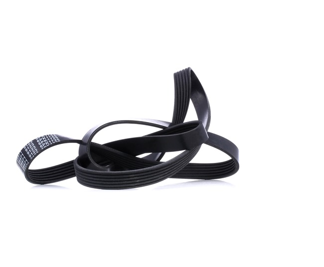 FEBI BILSTEIN 28971 Serpentine belt ALFA ROMEO 159 (939) 1.9 JTDM 8V 120 hp Diesel 2007
