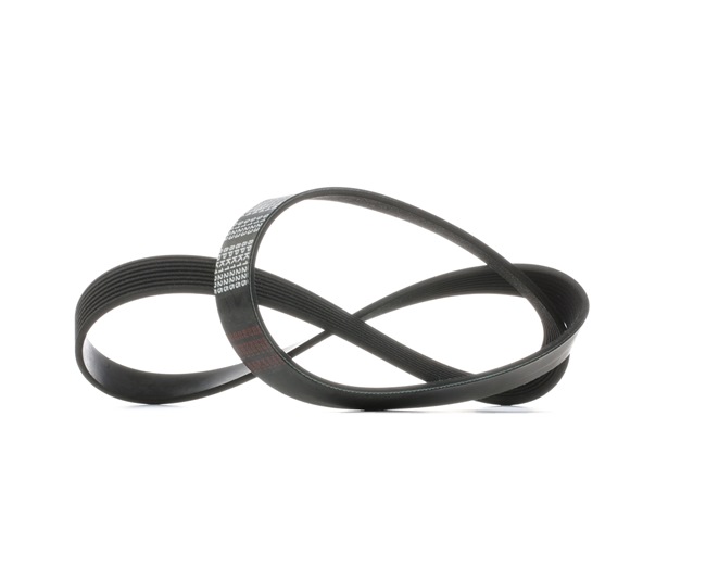 Correia trapezoidal estriada 29054 FEBI BILSTEIN MAZDA 6 SW (GY) 2.0 DI (GY19) 2006 121 cv
