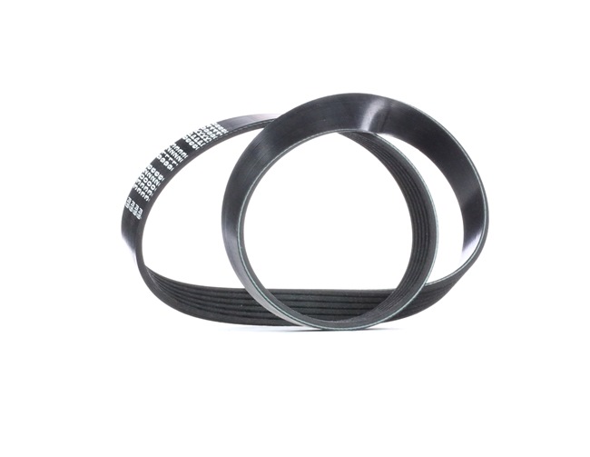 Cinghia servizi 33026 FEBI BILSTEIN Volkswagen Touran I (1T1, 1T2) 2.0 TDI 2006 140 CV